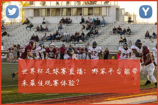 世界杯足球赛直播：哪家平台能带来最佳观赛体验？