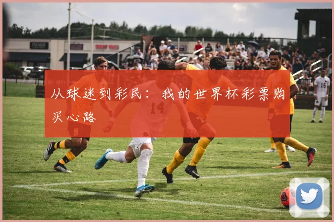 从球迷到彩民：我的世界杯彩票购买心路