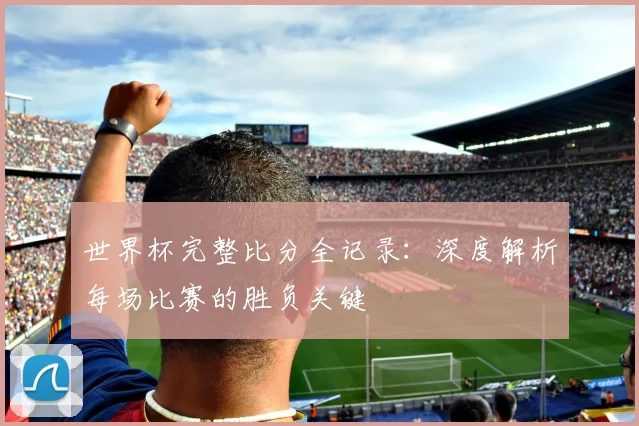 世界杯完整比分全记录：深度解析每场比赛的胜负关键
