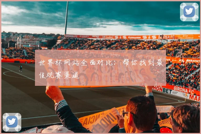 世界杯网站全面对比：帮你找到最佳观赛渠道
