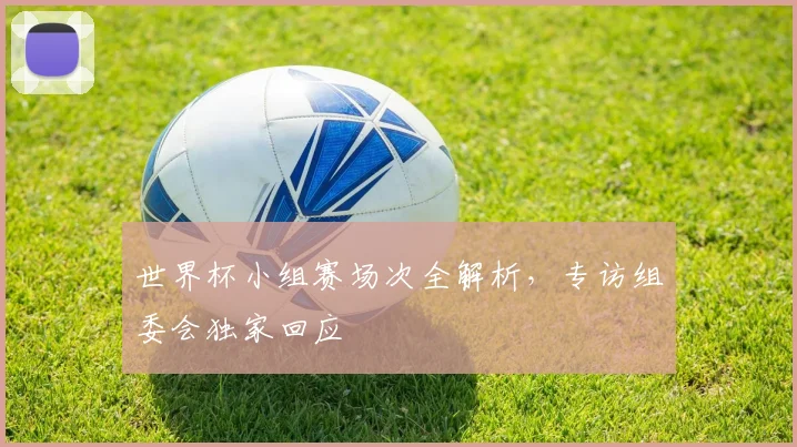 世界杯小组赛场次全解析，专访组委会独家回应