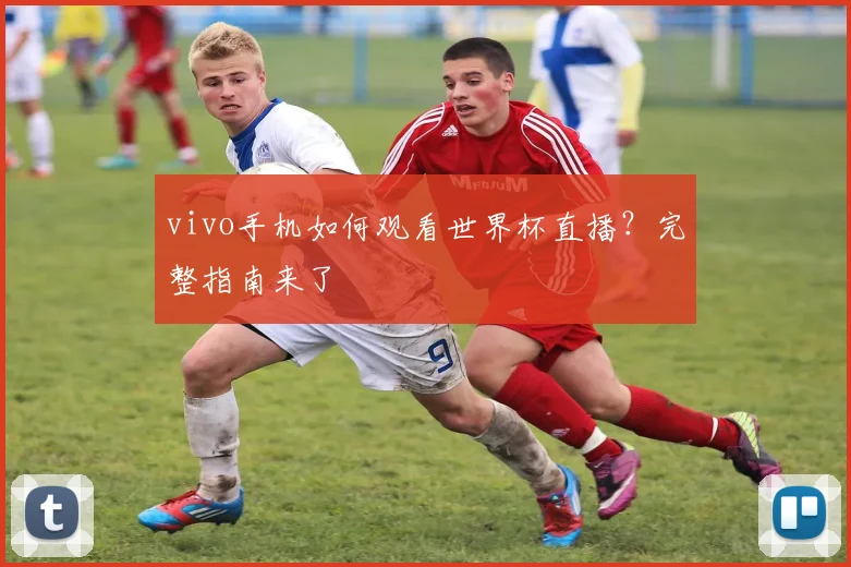 vivo手机如何观看世界杯直播？完整指南来了