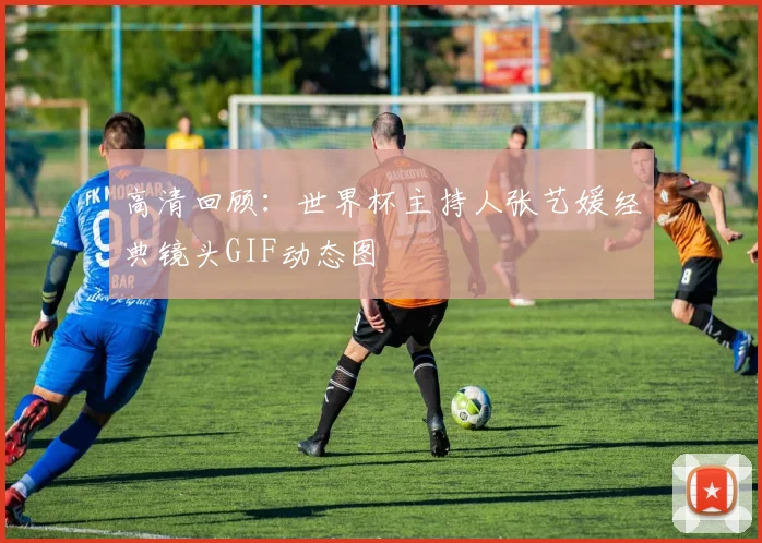 高清回顾：世界杯主持人张艺媛经典镜头GIF动态图