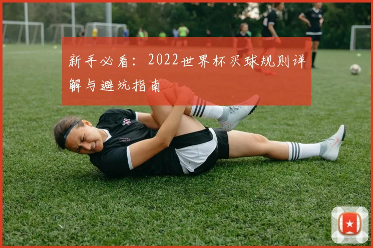 新手必看：2022世界杯买球规则详解与避坑指南