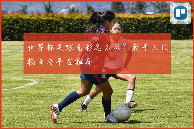 世界杯足球竞彩怎么买?新手入门指南与平台推荐