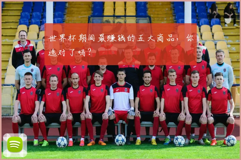 世界杯期间最赚钱的五大商品，你选对了吗？